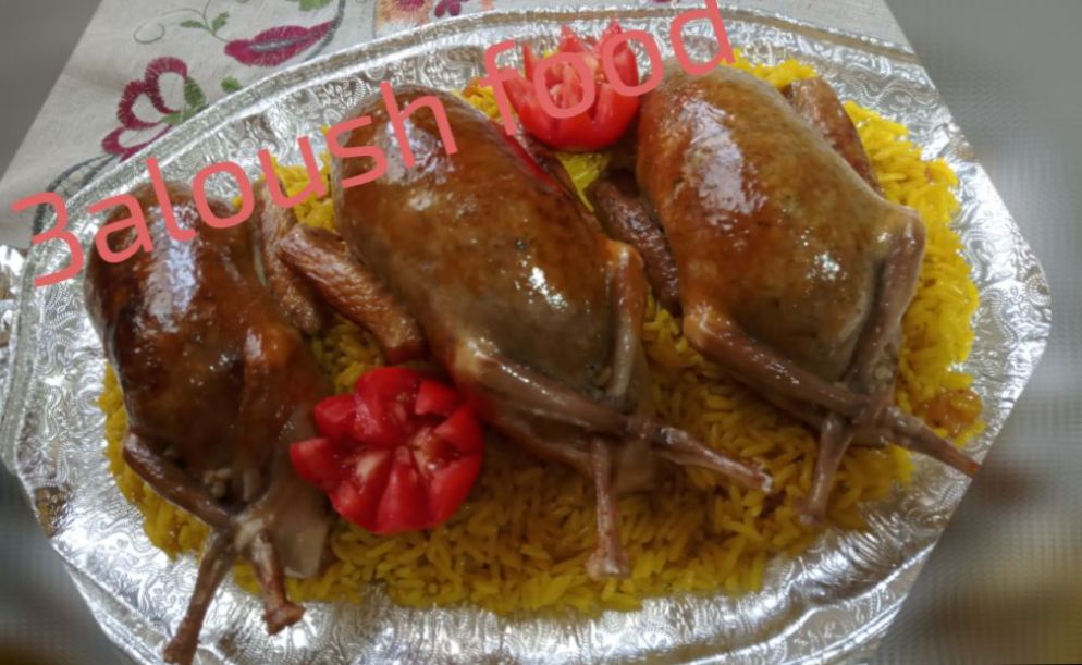 علوش فوود