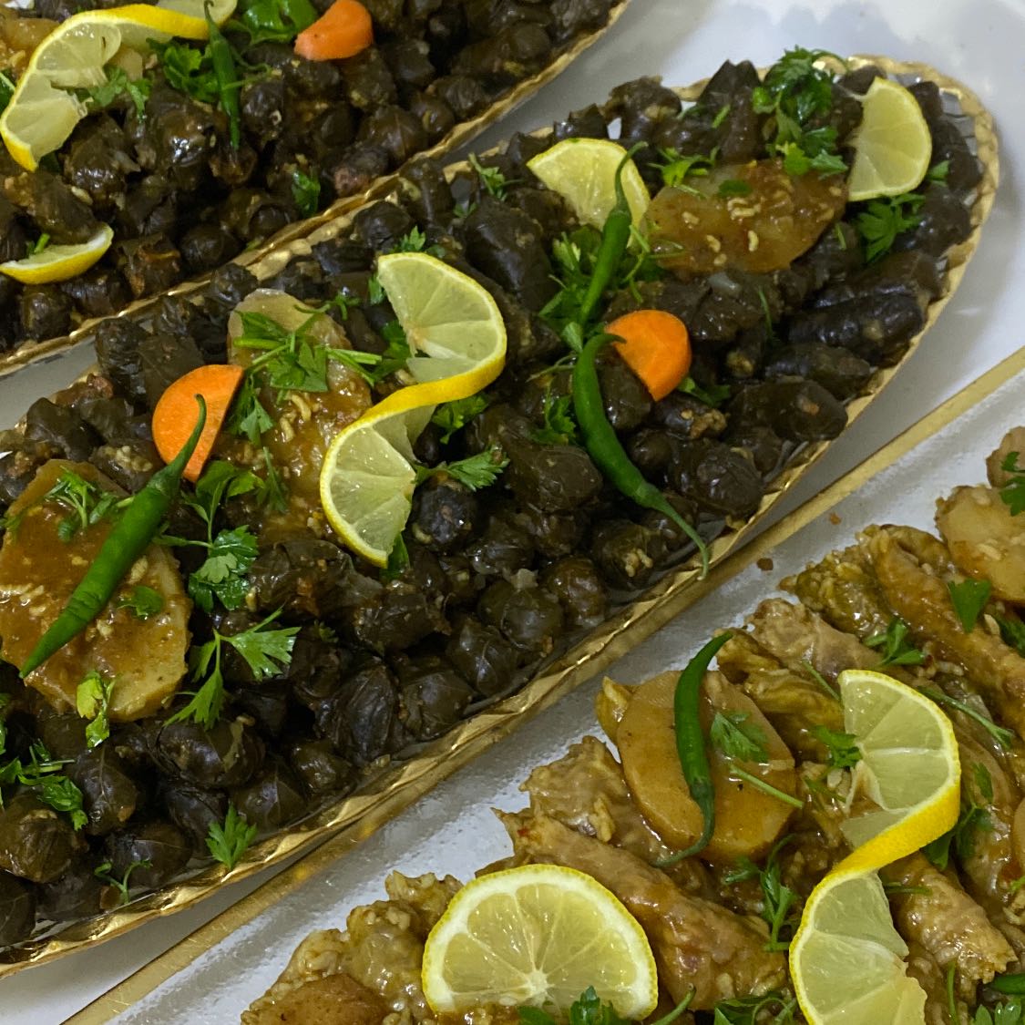 حلوم فلقي