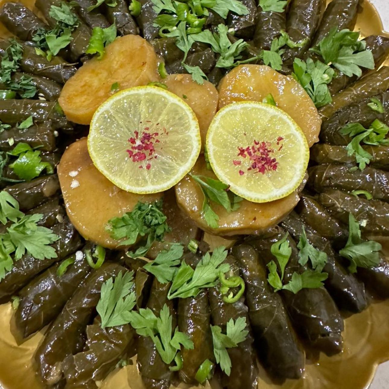 ابو سامر