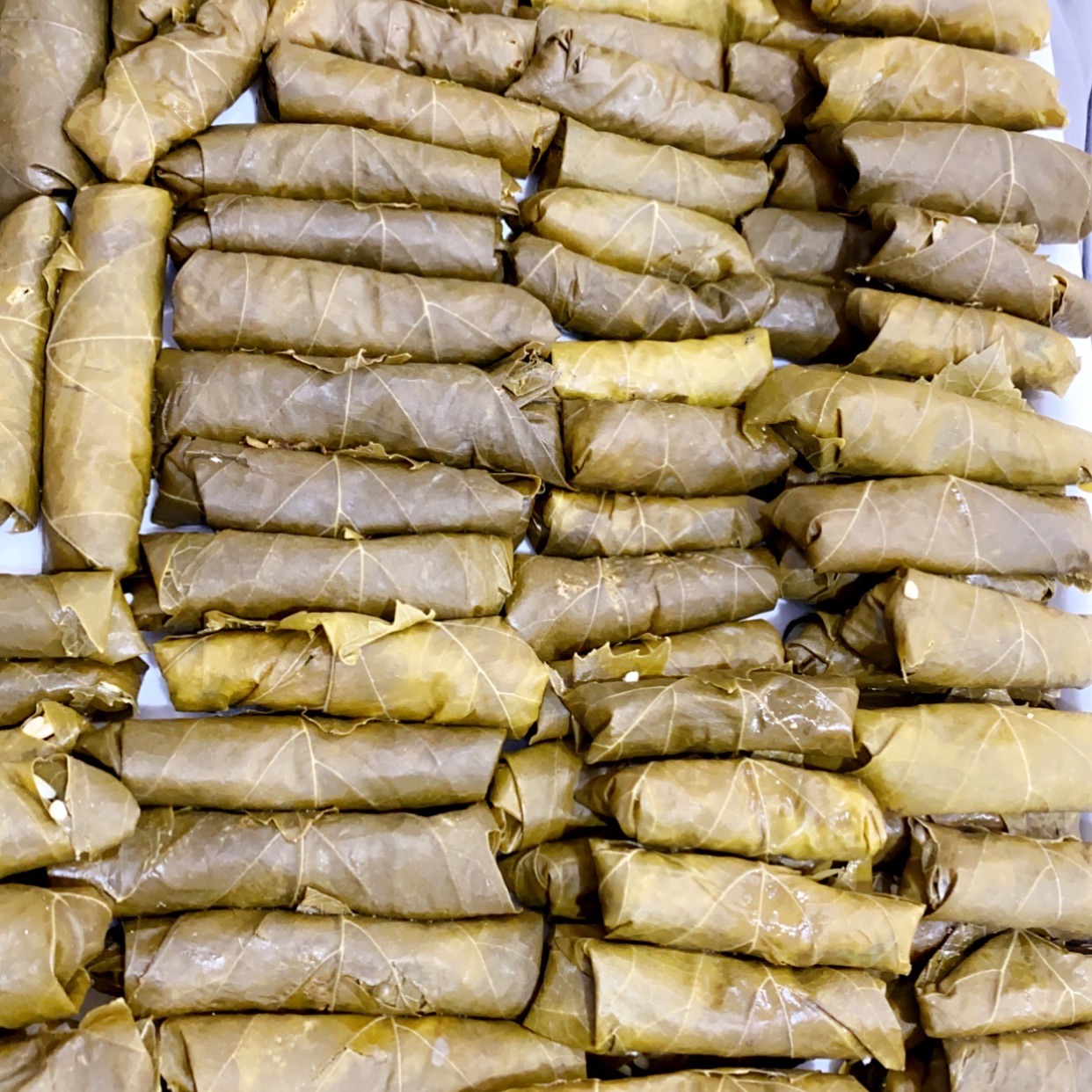 ورق عنب طلبية الزبون