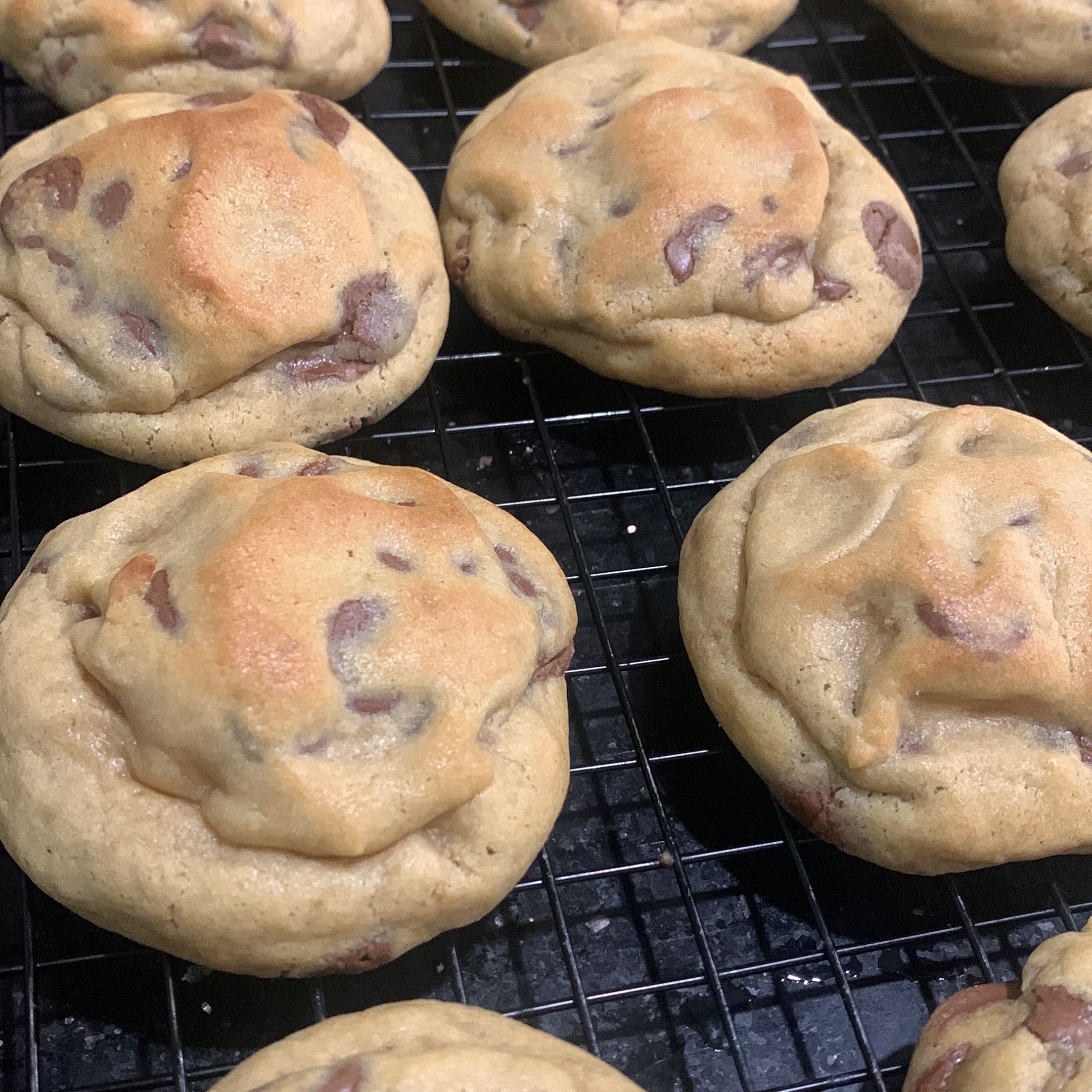 نيويورك كوكيز