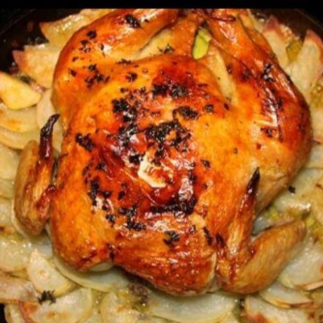 دجاج روتي (محمر )