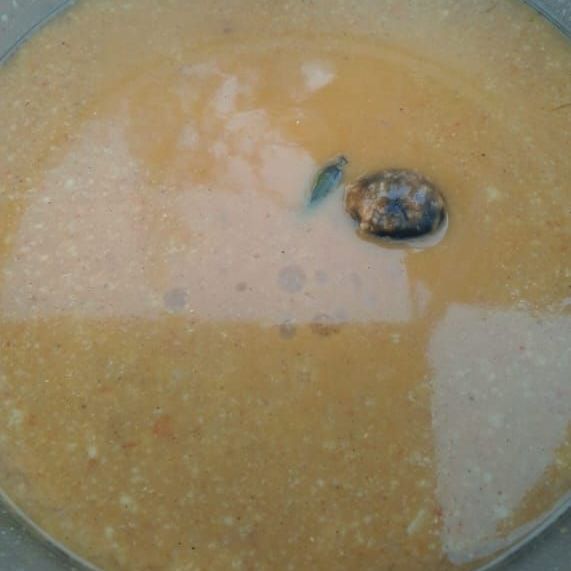 شربات متنوعه