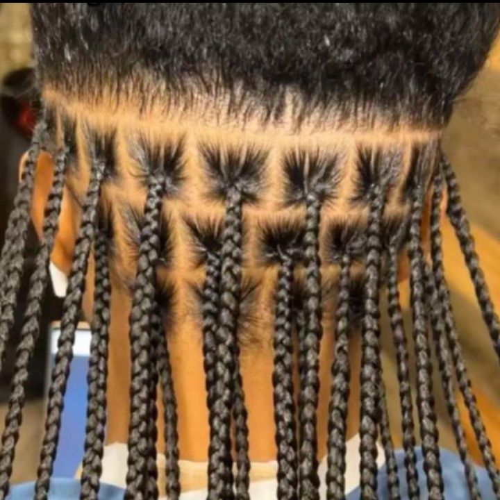 ظفاير كامله