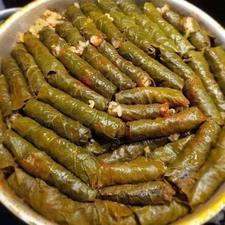 محاشي ورق عنب