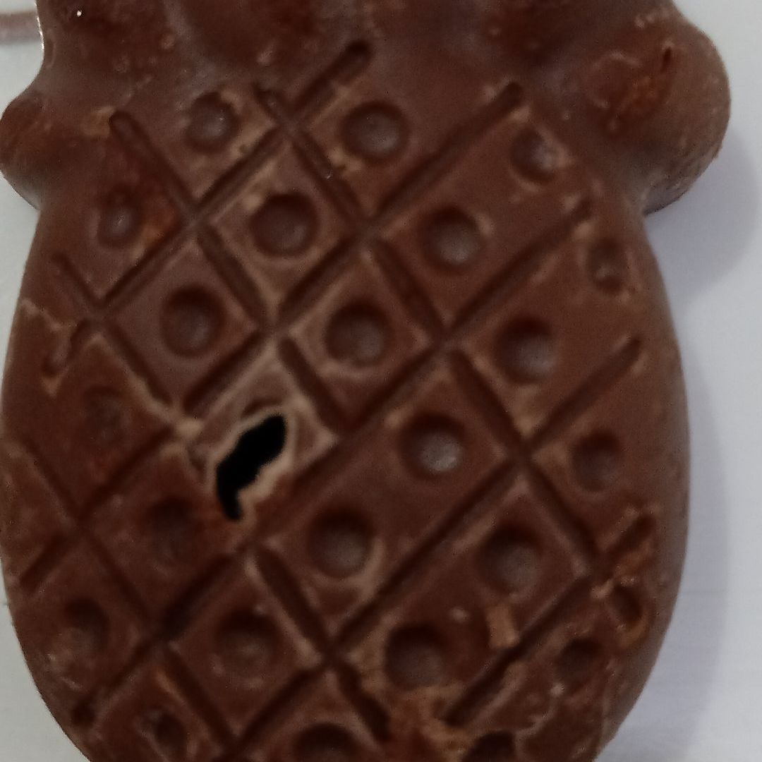 طعم لا يقوم شكولاته بالزبيب واو