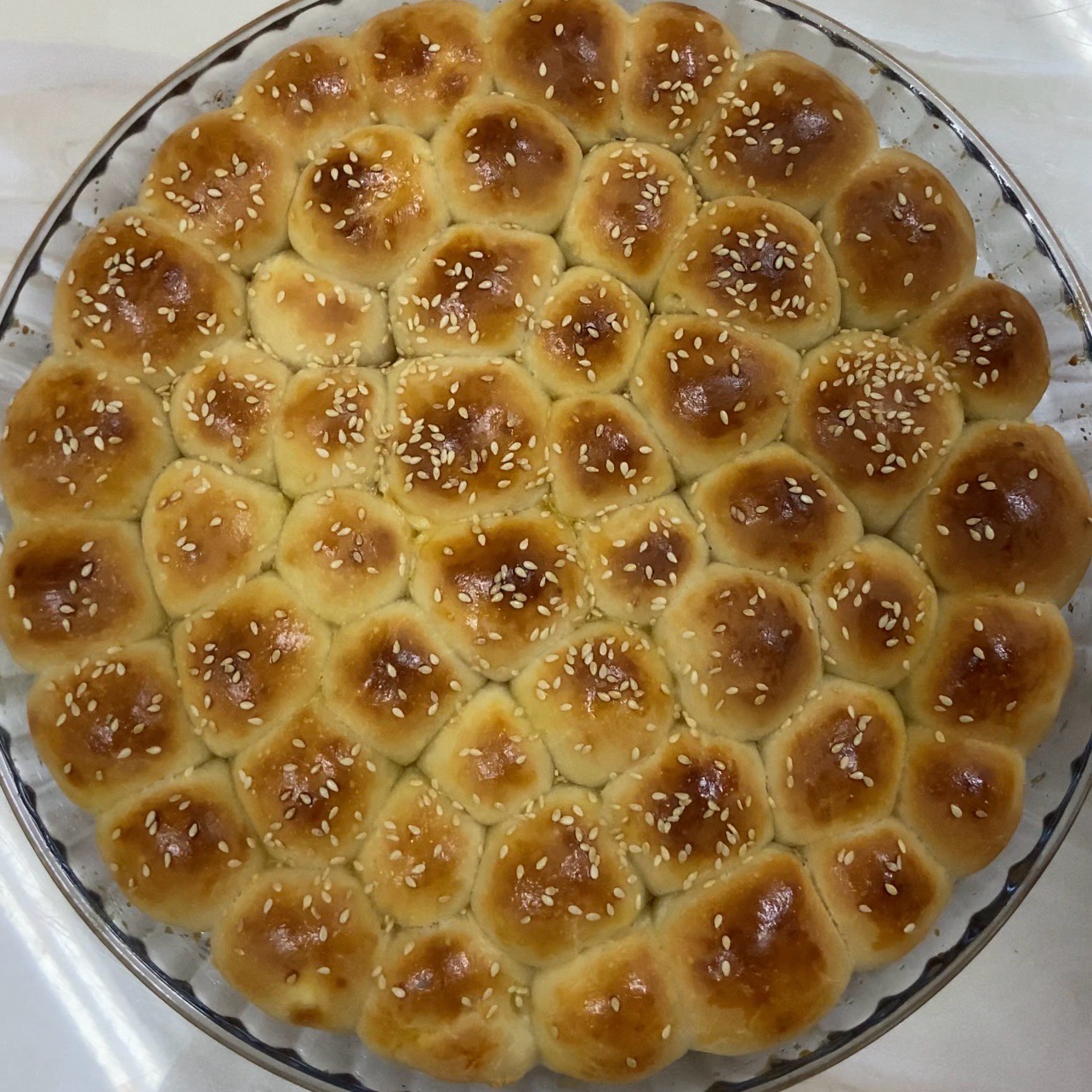 خلية نحل بالحبن