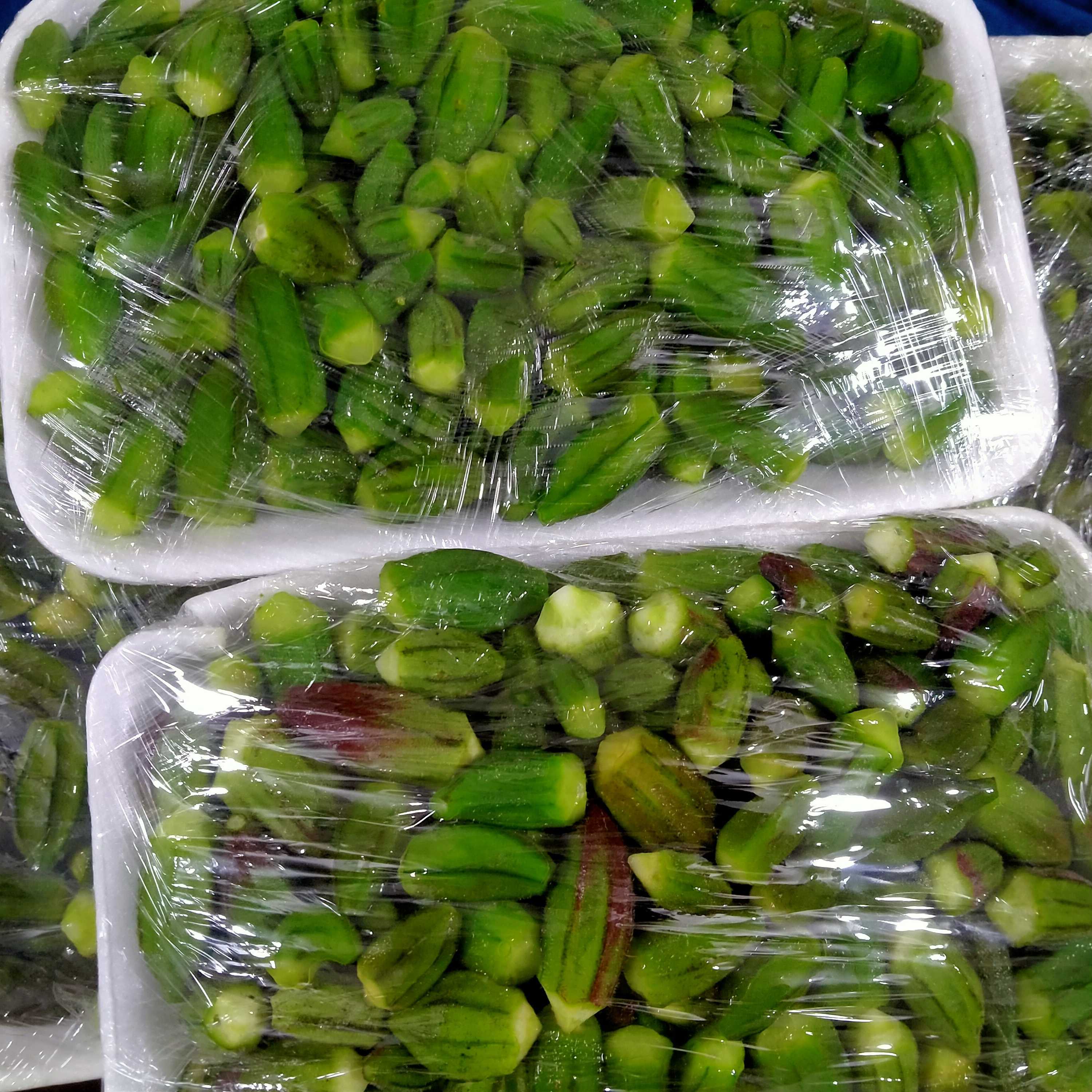 البامية القمر