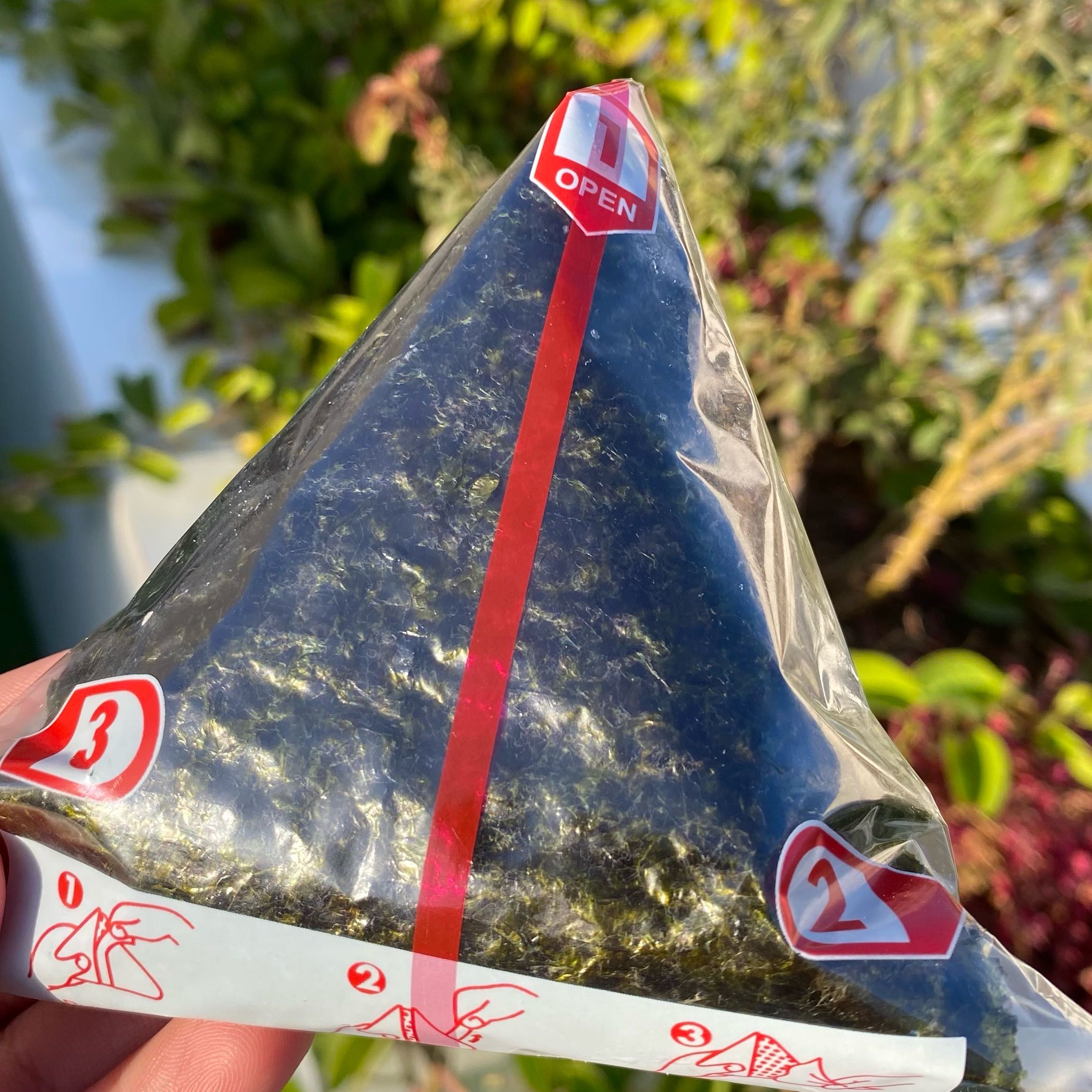 الاونيغري بالدجاج