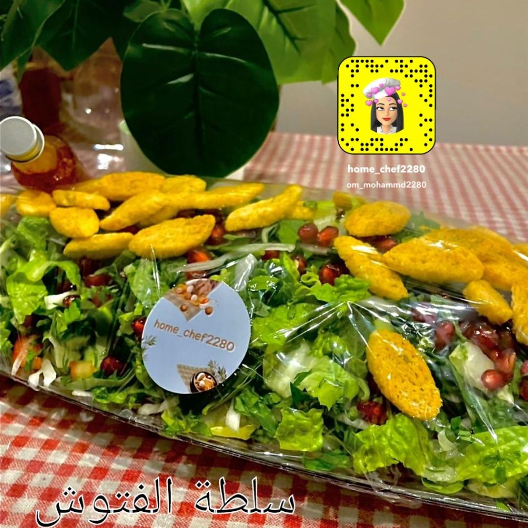 سلطه الفتوش