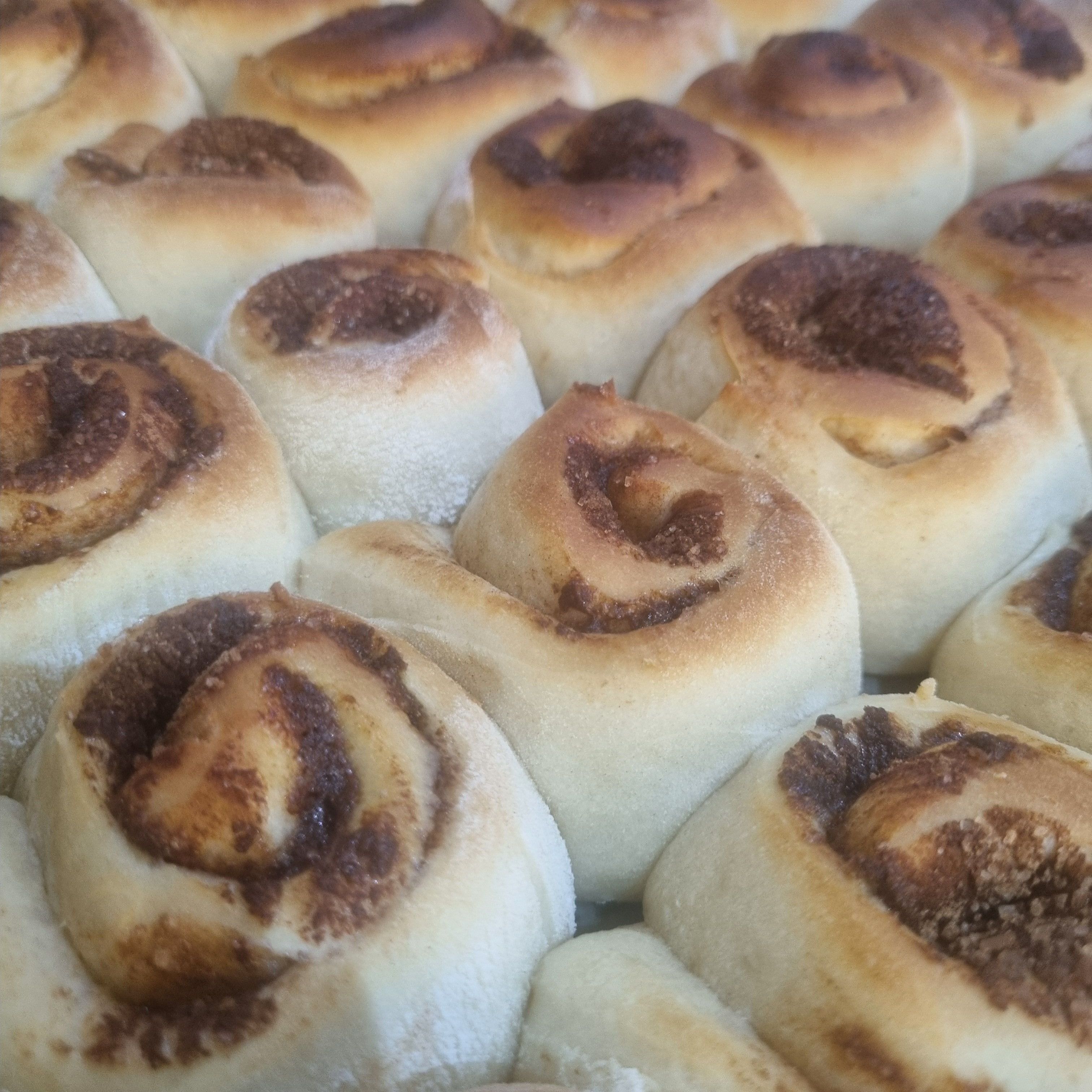 سينابون طري قطنننه