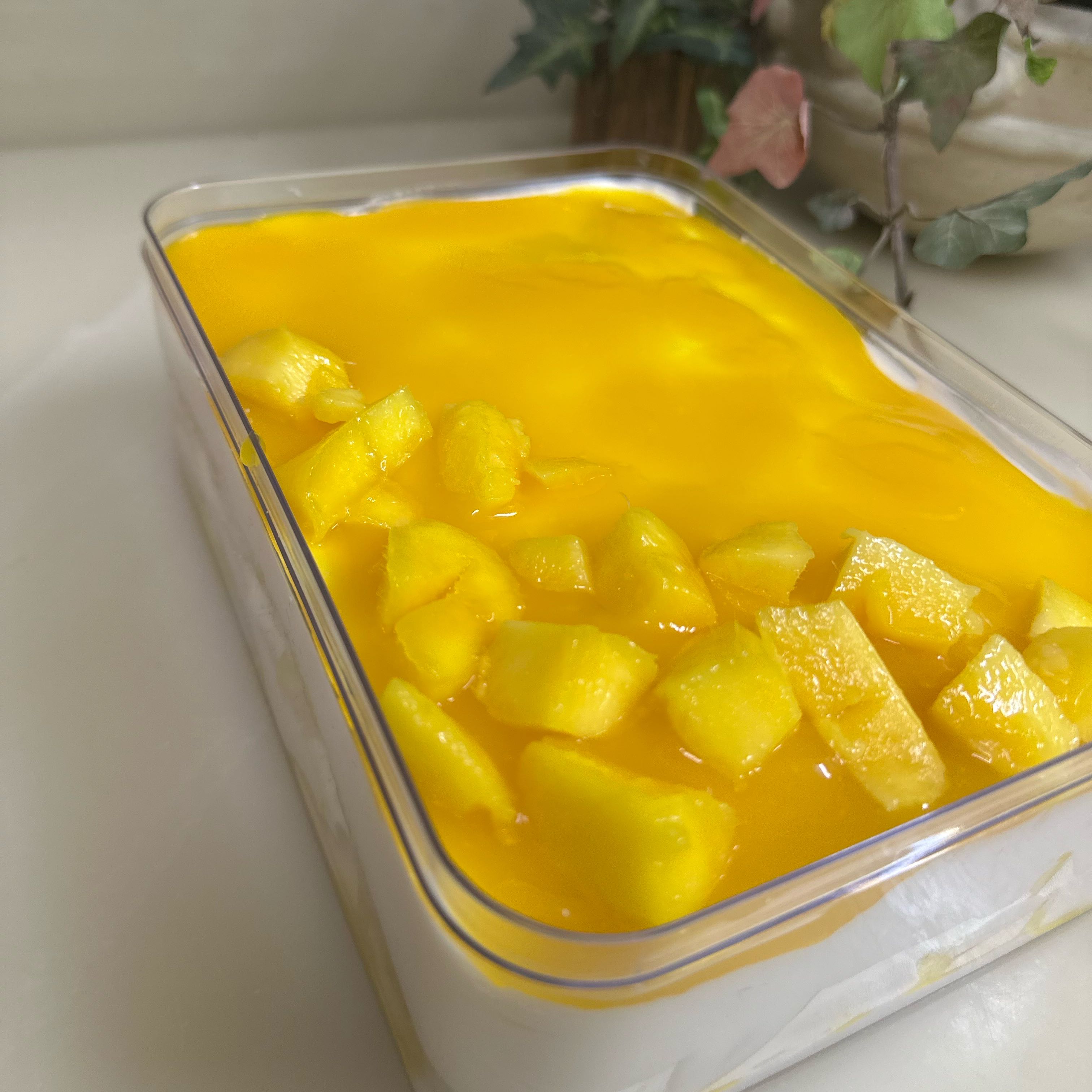 ترايڤل المانجو يكفي6 اشخاص
العلبه ب 50 ريال