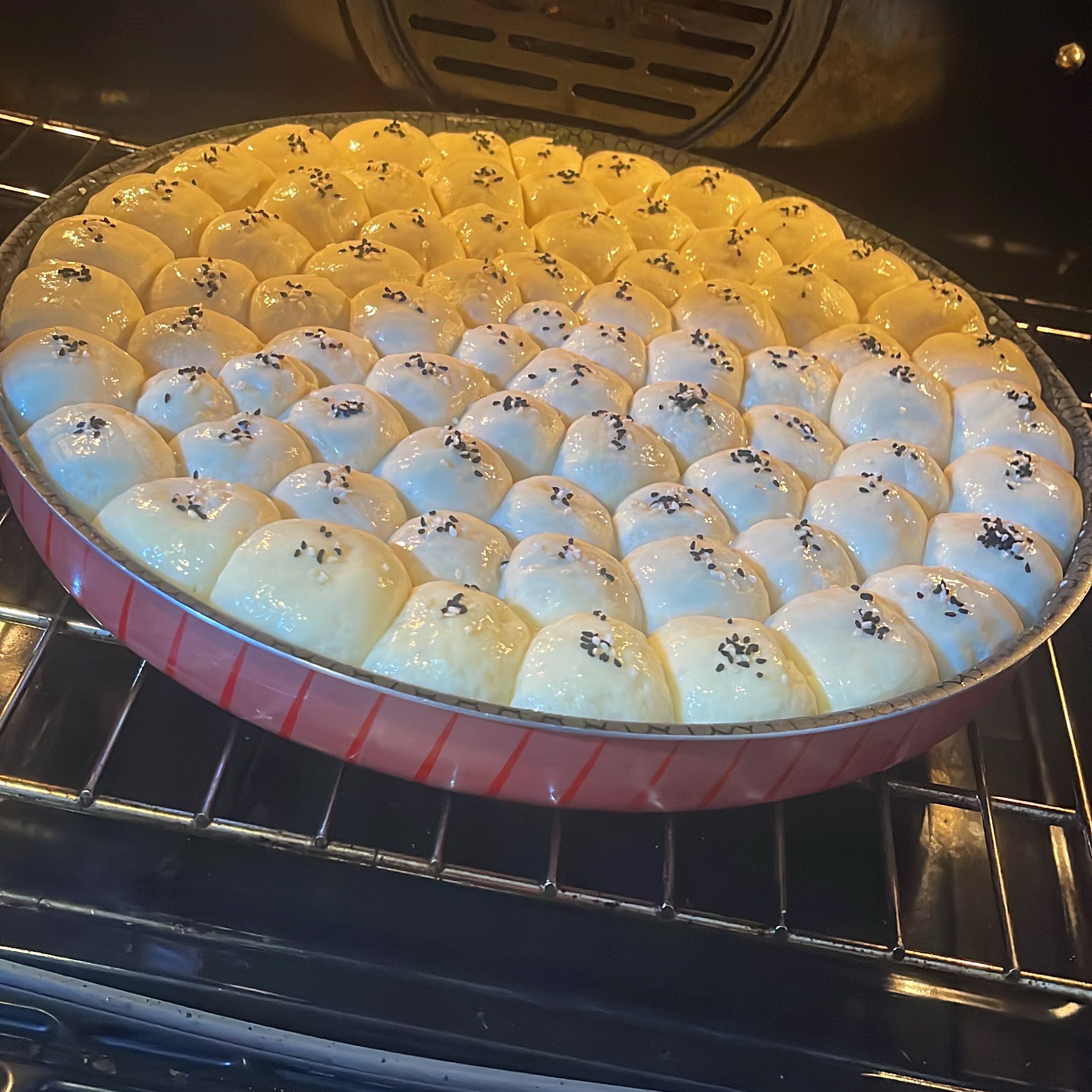 خلية نحل السعر ٦٠ ﷼