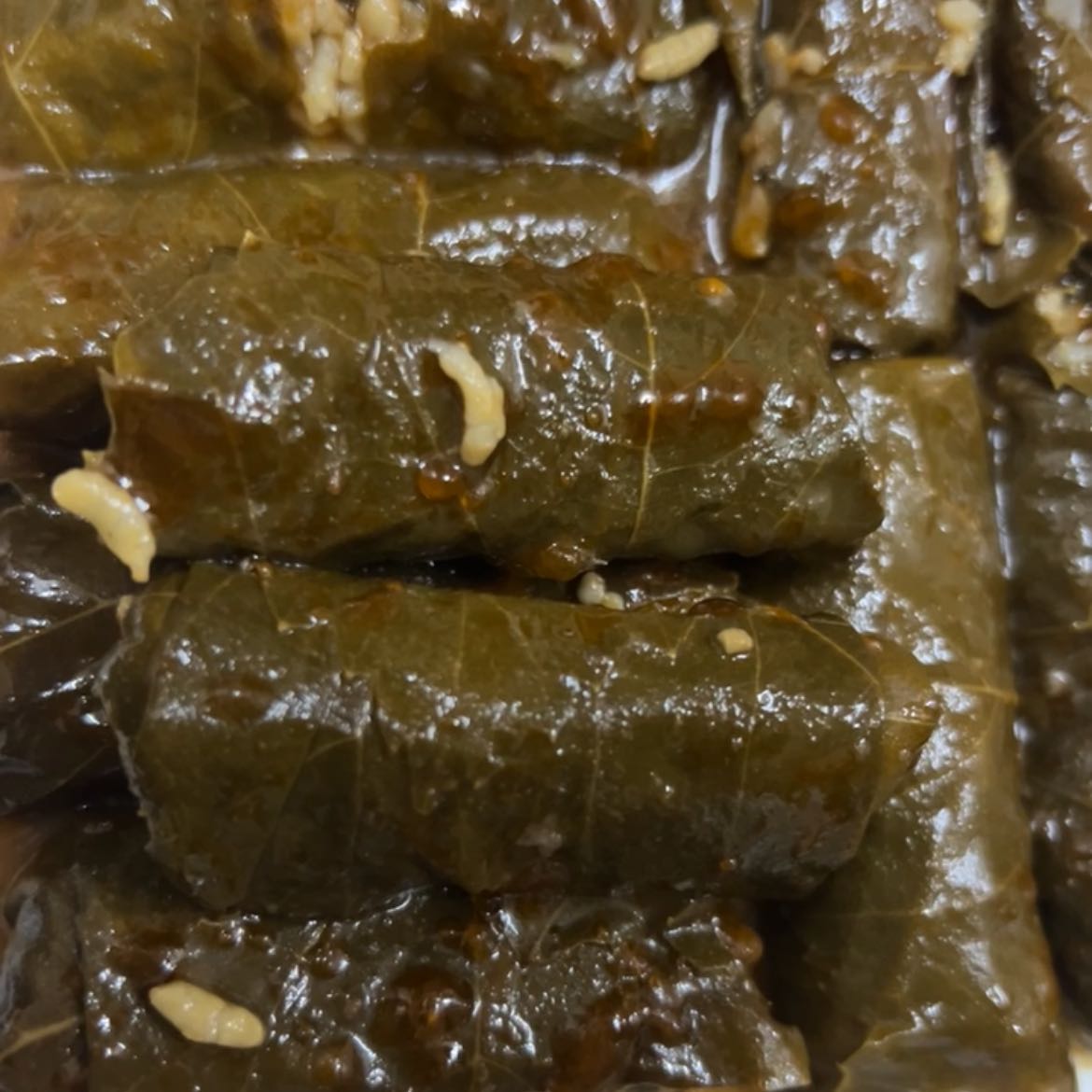 ورق عنب المدينة المنورة