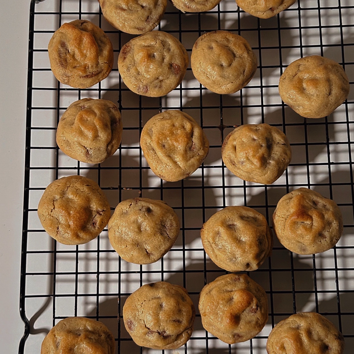 ميني كوكيز  كل ولا تاخذ هم السعرات