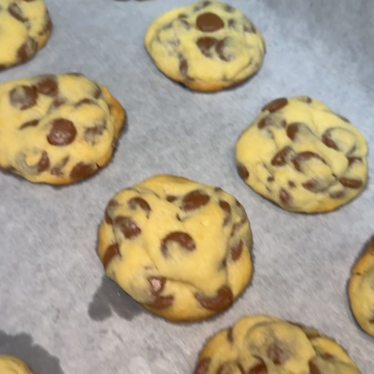 Belgian chocolate cookie