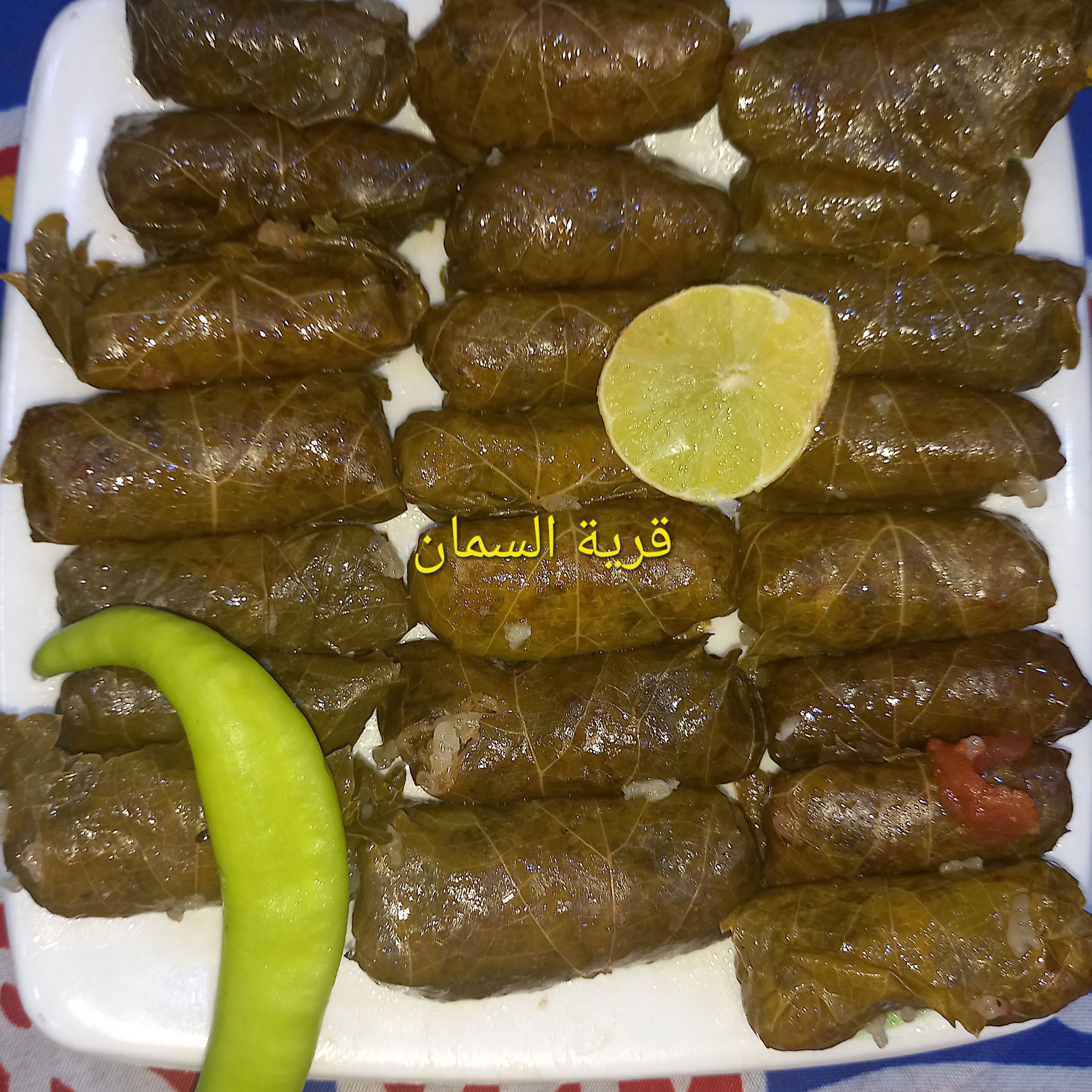 كيلو ورق عنب
