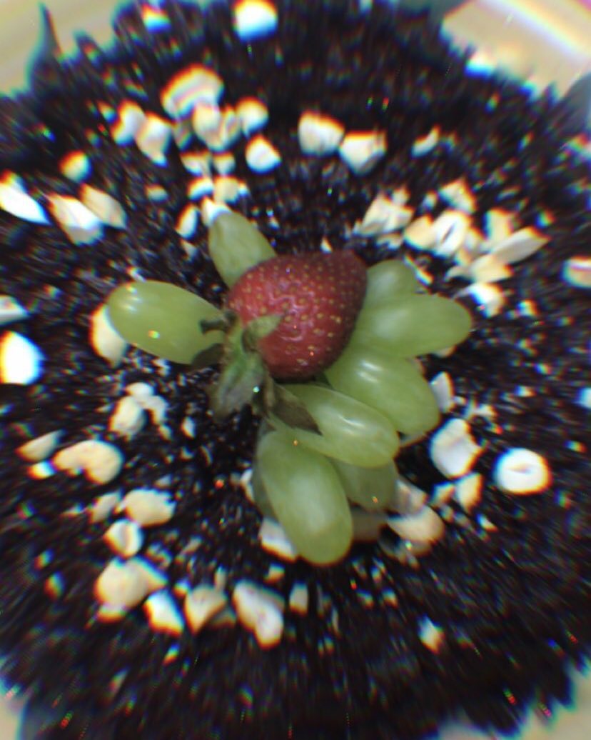 #حلى_الشمندر_برعاية_الشيف_العالمي_إبراهيم_زينل